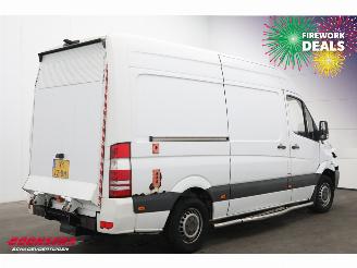 Mercedes Sprinter 316 NGT Aut. CNG Dhollandia LBW picture 3