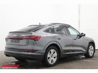 Audi E-tron 55 quattro edition 95 kWh LED ACC Memory HUD Camera SHZ picture 3