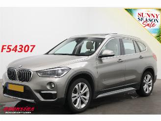 Avarii autoturisme BMW X1 xDrive20i AUT Centennial HE Pano ACC Navi Clima Camera PDC 2016/11