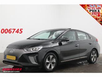 Voiture accidenté Hyundai Ioniq Premium EV Camera Infinity Pano Memory Audio Clima LED Navi 2017/3