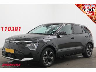 damaged passenger cars Kia Niro Light Edition 64.8 kWh ACC AHK Camera LED Clima Navi 2024/4