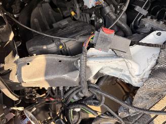 Rapido  8066DF 60 Edition Aut9 picture 42