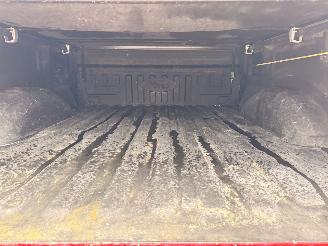 Ford USA F-150 XLT Sport 3.5L 4WD LPG Aut picture 43