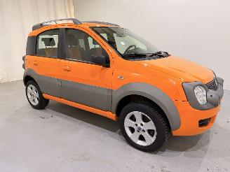 Vaurioauto  passenger cars Fiat Panda Cross 1.3D 4x4 68.000KM 2006/11