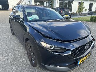Mazda CX-30 2.5  eSkyActive -G Nagisa     ( 15617 Km ) picture 5