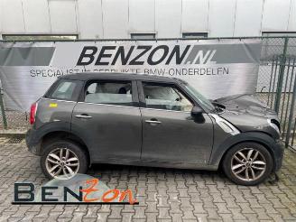 Mini Countryman  picture 3