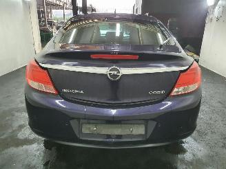 Opel Insignia  picture 41