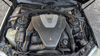 Mercedes S-klasse 62860 picture 17