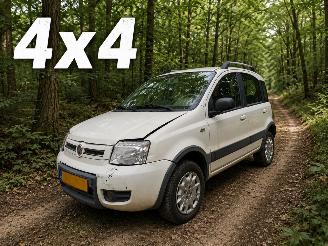 Schadeauto Fiat Panda 1.2 Climbing 4x4 2010/4