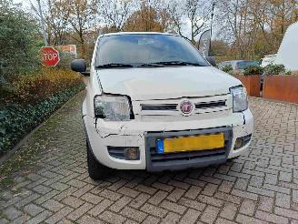 Fiat Panda 1.2 Climbing 4x4 picture 13
