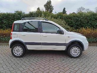 Fiat Panda 1.2 Climbing 4x4 picture 9