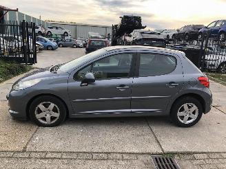 Avarii autoturisme Peugeot 207 14i 16v 70kW 5 drs Clima 2009/7