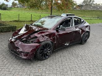 uszkodzony samochody osobowe Tesla Model Y Dual Performance 393 kW 4 WD 2024/11