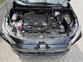 Toyota Rav-4 2.5 Hybrid / 131 KW / Panorama dak picture 8