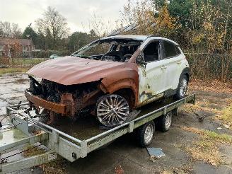 Hyundai Kona  picture 10