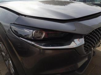 Mazda CX-30 CX-30 (DM), SUV, 2019 1.8 Skyactiv D 116 16V picture 8