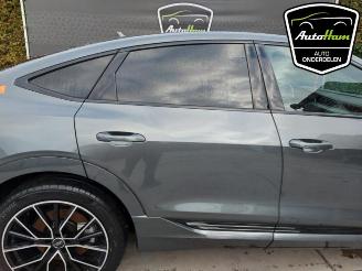 Audi E-tron E-tron Sportback (GEA), SUV, 2019 50 picture 10