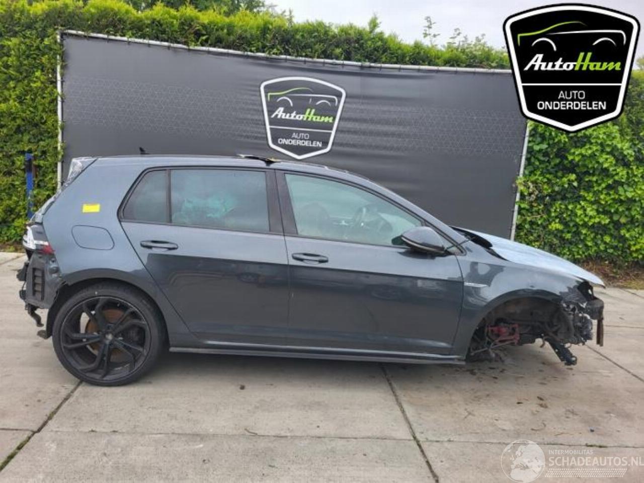 Volkswagen Golf Golf VII (AUA), Hatchback, 2012 / 2021 2.0 GTD 16V