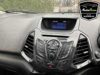 Ford EcoSport  picture 11