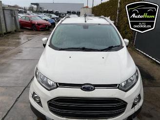 Ford EcoSport  picture 21