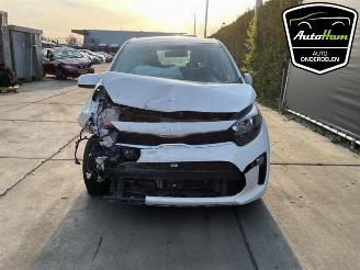 Kia Picanto Picanto (JA), Hatchback, 2017 1.0 DPI 12V picture 7