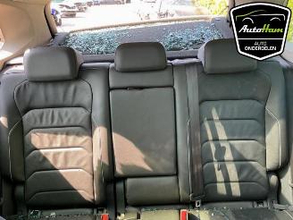 Volkswagen Tiguan Tiguan (AD1), SUV, 2016 / 2024 2.0 TSI 16V 4Motion picture 19