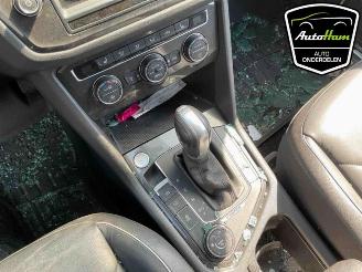 Volkswagen Tiguan Tiguan (AD1), SUV, 2016 / 2024 2.0 TSI 16V 4Motion picture 14