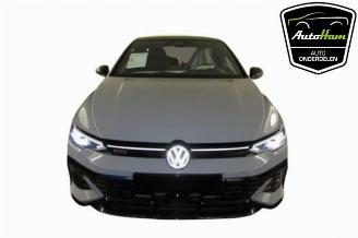 Volkswagen Golf Golf VIII (CD1), Hatchback, 2019 2.0 GTI Clubsport 16V picture 1