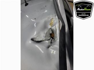 Skoda Fabia Fabia III Combi (NJ5), Combi 5-drs, 2014 / 2022 1.2 TSI 16V Greentech picture 19