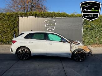  Audi S3 S3 Sportback (8YA), Hatchback 5-drs, 2020 2.0 T FSI 16V 2023/4