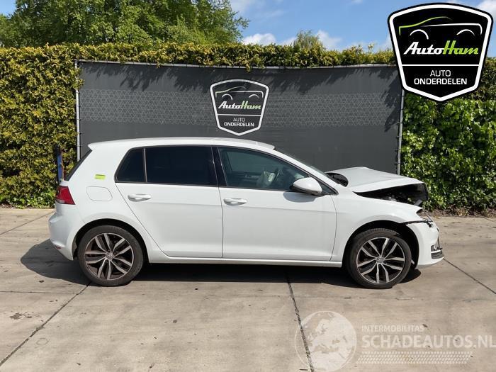 Volkswagen Golf Golf VII (AUA), Hatchback, 2012 / 2021 1.2 TSI 16V