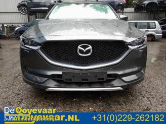 Mazda CX-5 CX-5 (KF), SUV, 2016 2.0 SkyActiv-G 165 16V 2WD picture 9