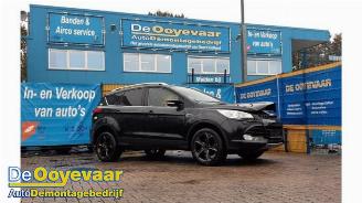 Uttjänta bilar auto Ford Kuga Kuga II (DM2), SUV, 2012 2.0 TDCi 16V 163 4x4 2013/5