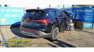 Hyundai Grand Santa Fe Santa Fe IV, SUV, 2018 1.6 T-GDI HEV picture 5