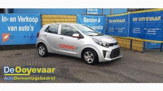 disassembly passenger cars Kia Picanto Picanto (JA), Hatchback, 2017 1.0 DPI 12V 2024/2