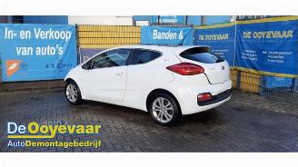 Auto da rottamare Kia Pro cee d Pro cee'd (JDB3), Hatchback 3-drs, 2013 / 2018 1.4i 16V CVVT 2013/4