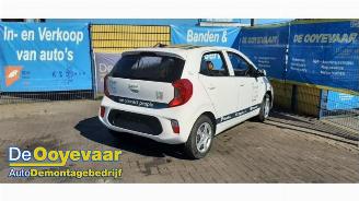 Kia Picanto Picanto (JA), Hatchback, 2017 1.0 DPi 12V picture 5