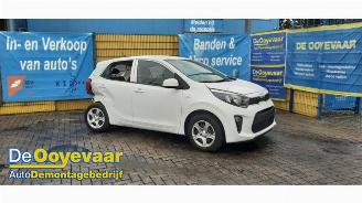  Kia Picanto Picanto (JA), Hatchback, 2017 1.0 DPI 12V 2024/2