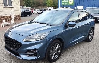 Avarii autoturisme Ford Kuga Ford Kuga 1.5 EcoBlue ST-Line Automaat 2021/6