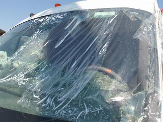 Renault Master HOOGTEWERKER picture 9