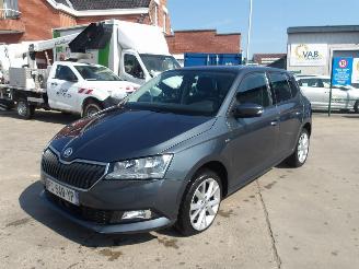 Damaged car Skoda Fabia  2019/1