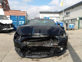 Ford Mustang  picture 3