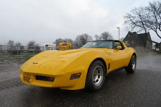 škoda osobní automobily Chevrolet Corvette C3 STINGRAY 5.7 V8 T-BAR 1981/6