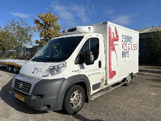 krockskadad bil bedrijf Fiat Ducato 2.3 MULTIJET KOEL / VRIES AUTO 2012/7