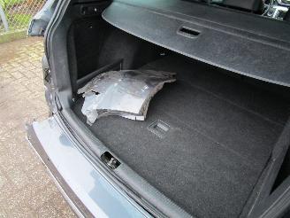 Volkswagen Passat 1.4 TSI DSG High-Line picture 12