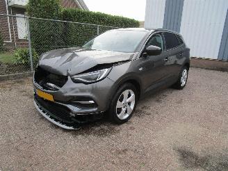 Unfallwagen Opel Grandland X 1.2 T Navi Panodak Clima 6-Bak 2019/11