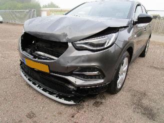 Opel Grandland X 1.2 T Navi Panodak Clima 6-Bak picture 5