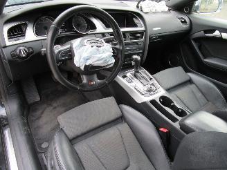 Audi S5 4.2 V8 Navi Clima picture 17