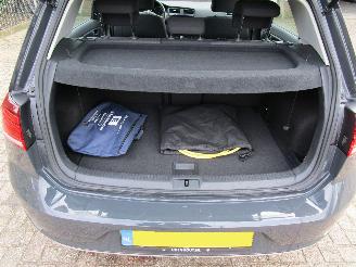 Volkswagen e-Golf Navi Camera 57.000 KM picture 15