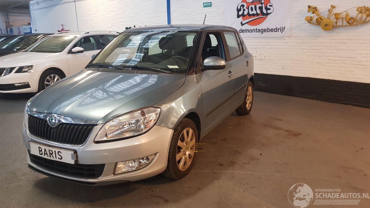 Skoda Fabia 1.2i 12V  4DRS BENZ 1.198CC 51KW 69PK